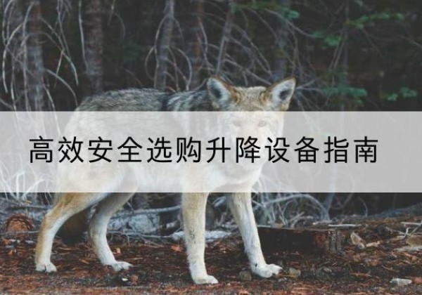 盐边升降货梯厂家推荐-*安全选购升降设备指南