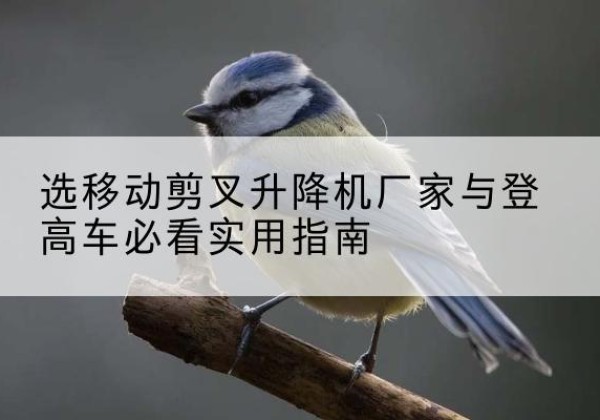 盐边电动升降机厂家-选移动剪叉升降机厂家与登高车必看实用指南
