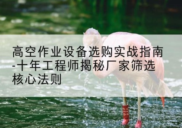 盐边剪叉式升降机厂家-高空作业设备选购实战指南-十年工程师揭秘厂家筛选核心法则